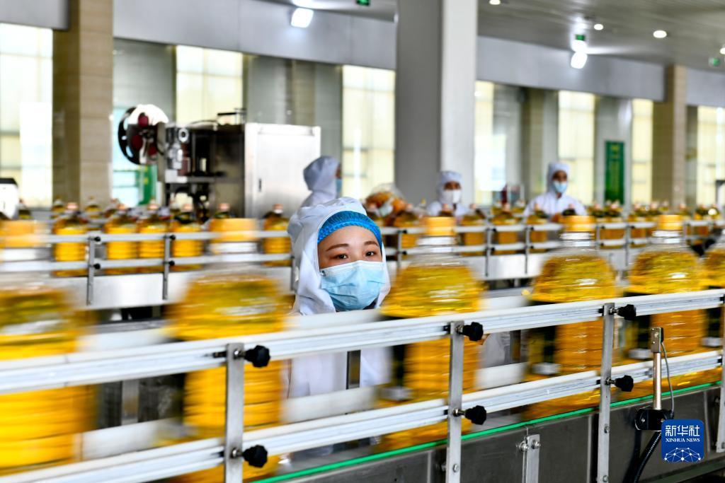 美高美网站维护